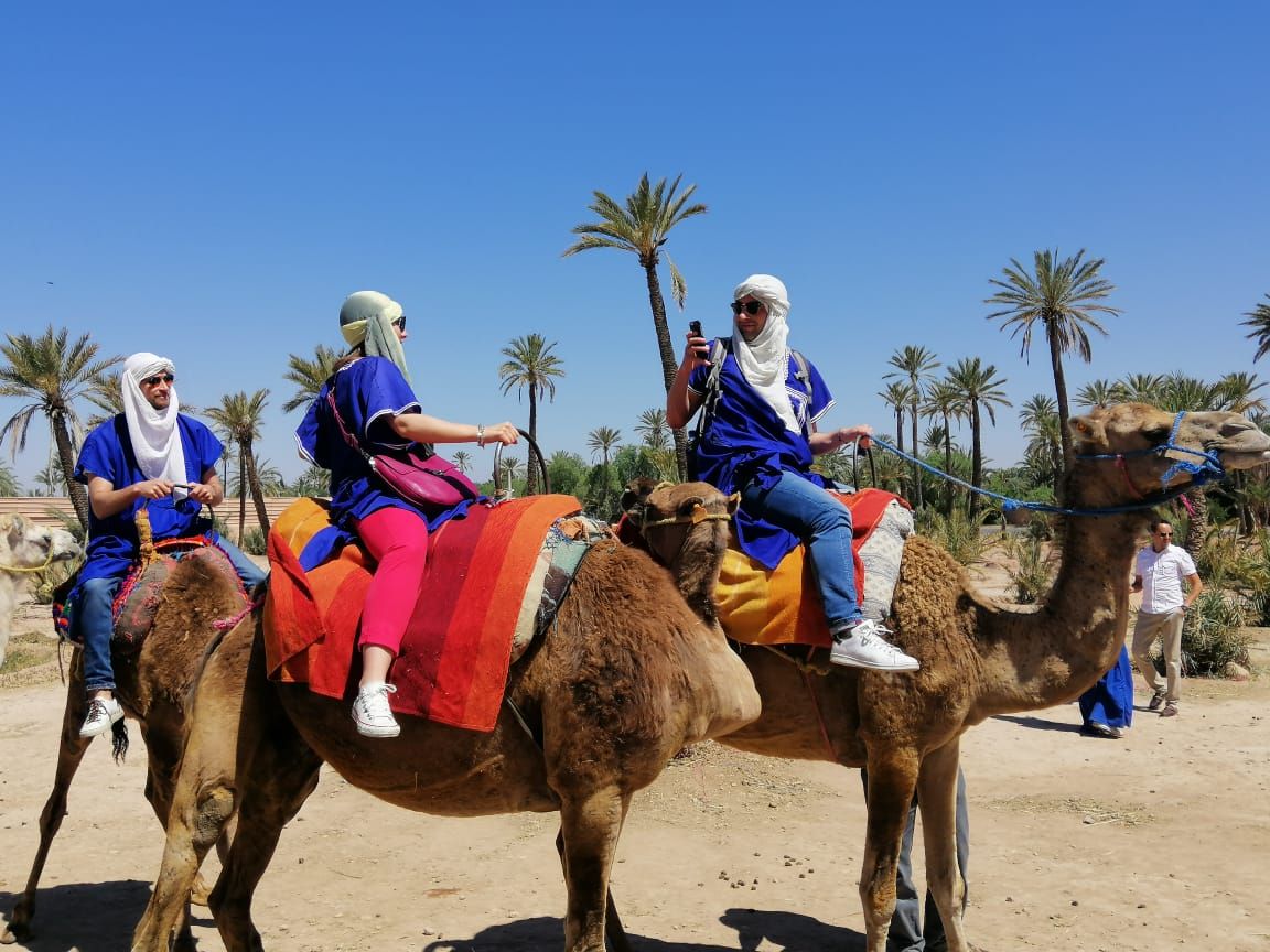 Excursions à la journée à Marrakech - Visites guidées avec experts